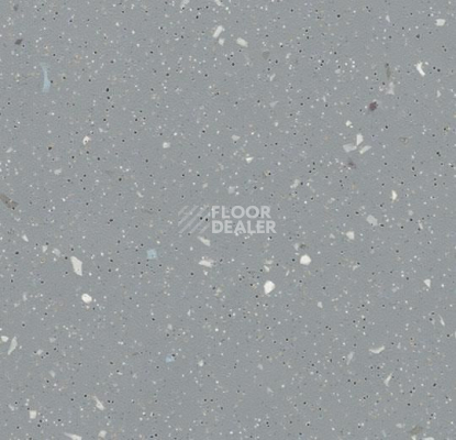 Линолеум Forbo SureStep Decibel 717107/7171072 pewter фото 1 | FLOORDEALER
